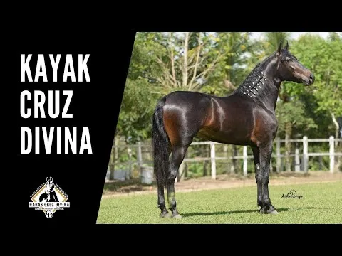 Kayak Cruz Divina