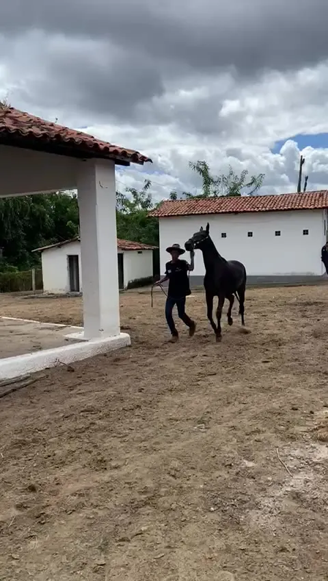 Ucrânia Cruz Divina