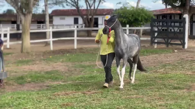 Unaí Cruz Divina