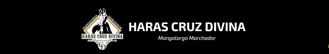 Banner Haras Cruz Divina